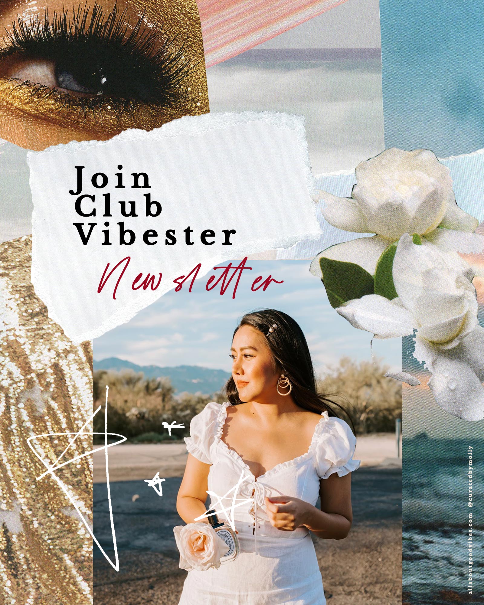 club-vibester-newsletter